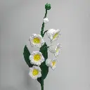 Fleur muguet - face.webp